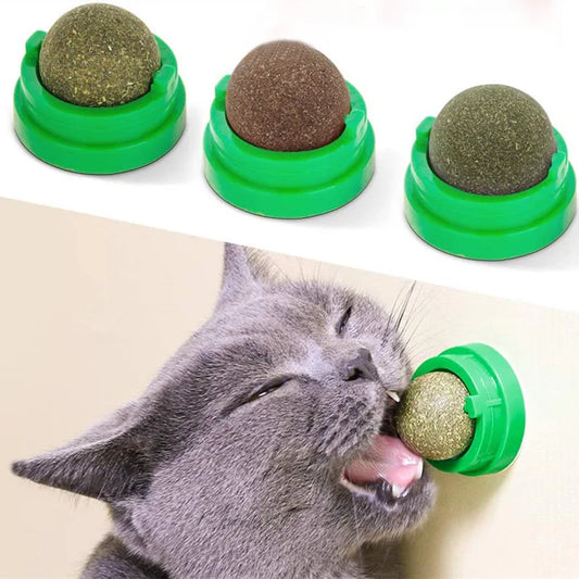 Natural Catnip Cat Wall Stick-on Ball Toy Scratchers Treats Healthy