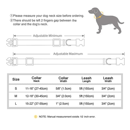 Nylon Custom Dog Puppy Collar Leash Set