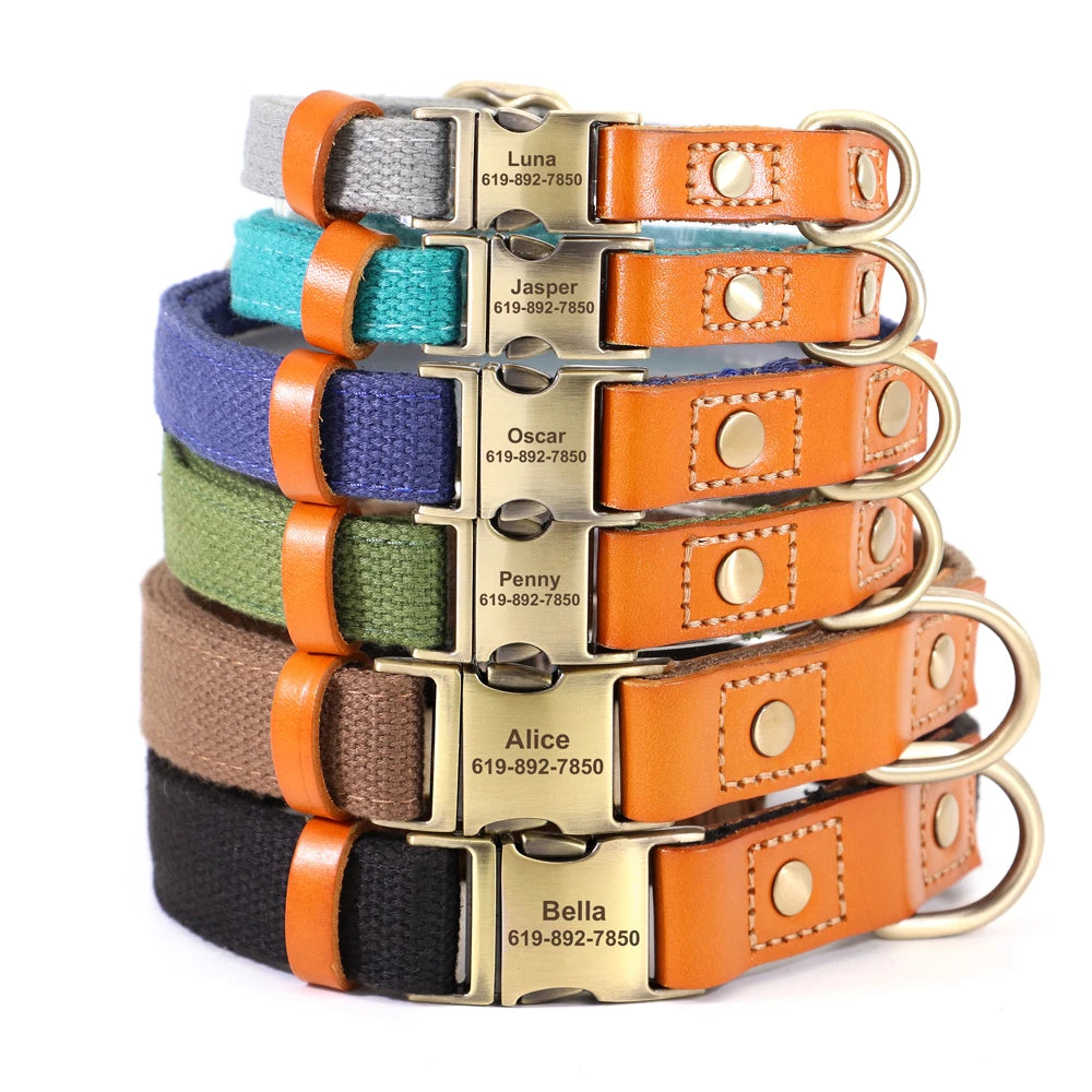 Nylon Custom Dog Puppy Collar Leash Set