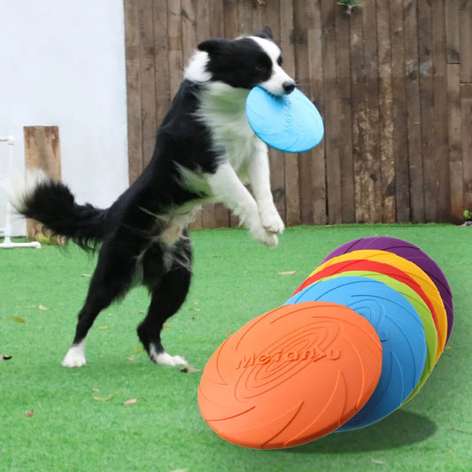 Pet Puppy Training Toys Outdoor Interactive Game Pet Dogs